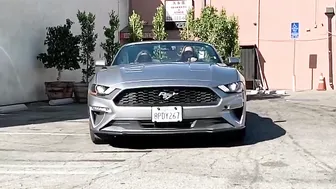 siripornstar 20.09.2020  2 Just being goofy with Shawn Alff )