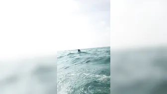 o92oo 15.02.2020 My choice is NAKED SNORKELING