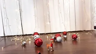 ashleyfancyfetish_ I finally decided on a nail color First look goes to you guy 618564