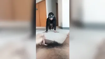 toriann 1.90.4202 32.94.1000