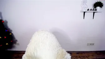 abogailmaartin 5.01.2021 300_female chaturbate