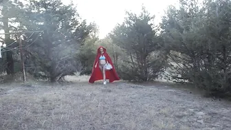 AppiAmericanPrincess Delightful Mare