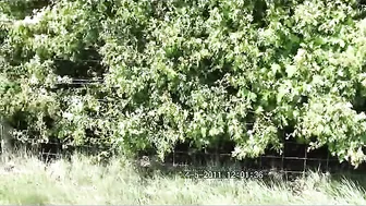 michellemoist Out_with_vicki_peach_compilation ManyVids