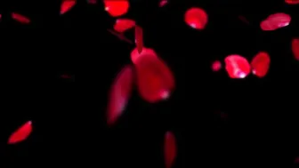 Riley_Cyriis Sex_machine_wand_imposed_orgasm_torment ManyVids