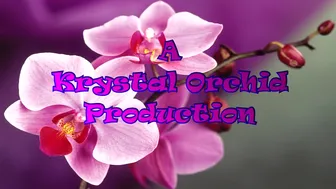 Cherry Fae Blanket Fort ManyVids