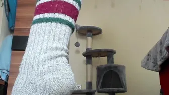 kitty_anniexoxo 7.01.2021 134 female chaturbate