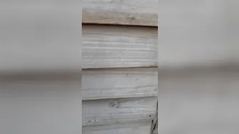 jjames70779191 18 02 2021 27 03 2020 197990617