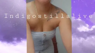 indigostillalive 18 02 2021 12 09 2020 879343826