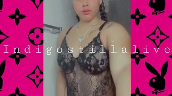 indigostillalive 18 02 2021 15 10 2020 1081546337