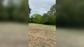 tiffanyleiddi onlyfans 26 09 2020 968403477