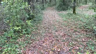 tiffanyleiddi onlyfans 15 11 2020 1260566688