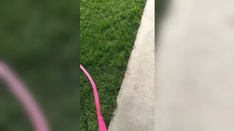 Reena Sky (reenaskyvip) onlyfans 017 11 20 5.05.0497