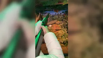 Gemma Massey (imgemmamassey) onlyfans 020 02 04  1