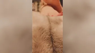 Chessie Kay onlyfans 019 11 16