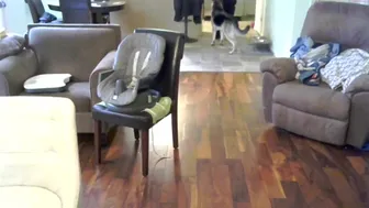 semperfuckme052518 7.01.2020 801_couple chaturbate