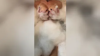 fitt4pleasure 12 03 2020 25393398 I love how I feel when I