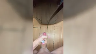 Tiffany Towers (562)