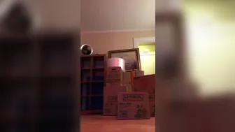 kimberlykane-27-03-2019-5649725-Somehow_making_moving_boxes_slutty...