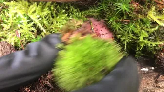 Dominatrix Athena onlyfans 14