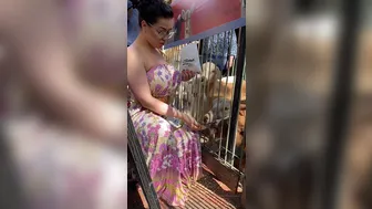 Scarlett Jones onlyfans 19 10 27 8186248 Day out at the zoo WARNING Not a sexual video but for the fans that(..) 1080x1920