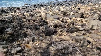 sheisatang onlyfans 2021 03 07 2048949107