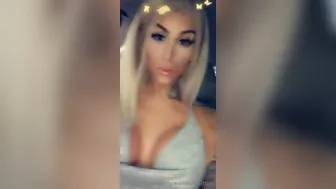 Kendall Vuitton (Vert.) (56)