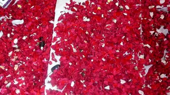 belahsadashi 4.02.2021 123_female chaturbate