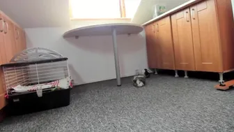 anabel054 (Porn, Anal, webcam, Creampie, Big Tits, Blowjob, All Sex, Teens) (720p) (via Skyload)_6