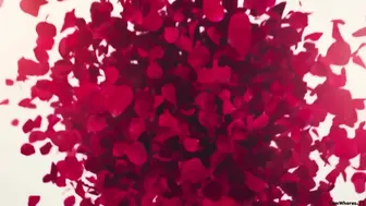 Helloharley  Lacy brunette