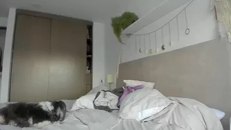 tattoo_ninja_kitty-cbf-202106031109_5