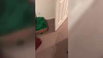 Sexy Aymee onlyfans #Fanscope Replay . First try! Making coffee