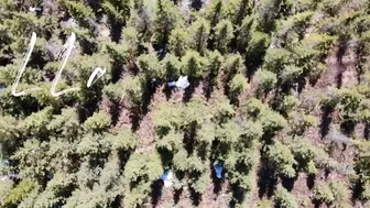 LLadventures aka lladventuresonlyfans 2020.04.29 . 266930334