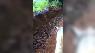 LunaStar_cutelunastar_5595609366396928