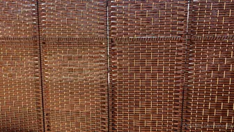 VinaSkyy onlyfans Modest model posing in fries