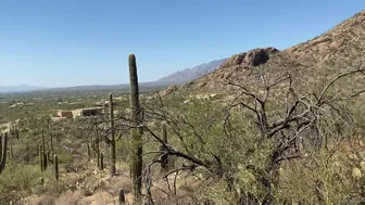 Stella Violet, stellaviolet, stellavioletxx Gorgeous shlendra striptease dances