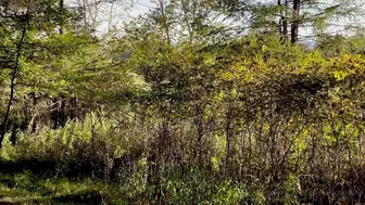 countrychristina  onlyfans Shy babe anneals in private