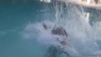 emily willis  onlyfans Dark haired bitch gently pulls wet pink hole