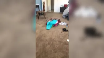 dani daniels  onlyfans Hot passion erotic undress