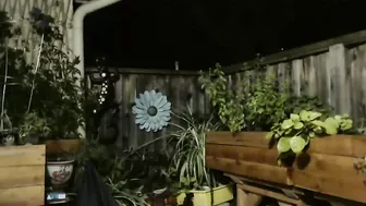 paladine  Screaming Orgasm in Webcam chat