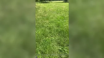 Ladyelectradominatrix onlyfans 16_03_2022 Newest camrecords 2022