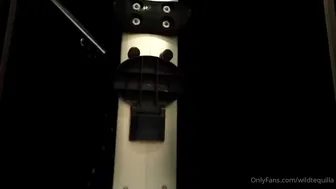 wildtequilla webcam 2022 (135) 15_01_2022 broadcast 2022