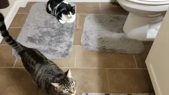 Embersnow onlyfans 26/01/2022 Latest broadcasting 2022