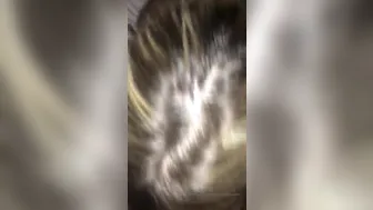 sexypolishvixen onlyfans 17/03/2022 Latest broadcasting 2022