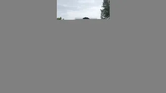 Alexis Skyy aka alexisskyyofficial onlyfans Shy slut caresses shaved cunt