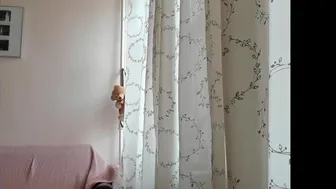 mia_looker 08-May-2022 1039_webcam chaturbate Porn