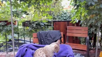 kristymack chaturbate 202009281531 2022