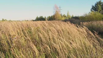 Angel aka littleangelph onlyfans newest video 16