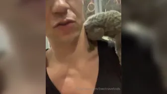 bwctravelvids onlyfans 21-01-2022 performance Latest May from chaturbate Camshow Porn