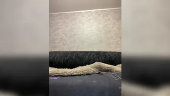 justBella Gorgeous blonde caresses boobs