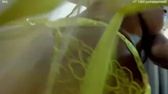 girlboss myfreecams 2022-july-19 16:29_6